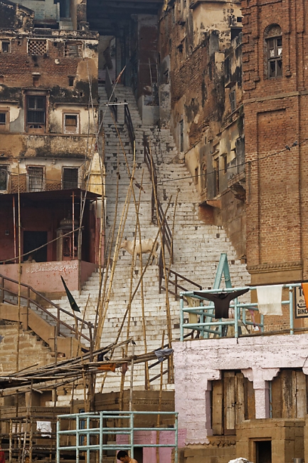 Varasani-Promenade sur le Gange-105